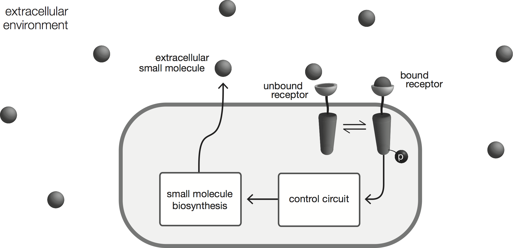 Integral Feedback Picture