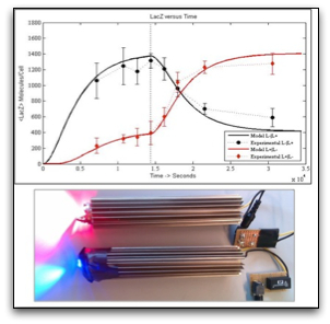 Light Control Picture